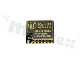 RA-01