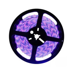 Taśma LED SMD2835 UV 60Led/m 5m Rolka 5 metrów, Ultrafiolet IP20