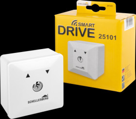 25101 Key-Operated Switch, Surface-Mounted