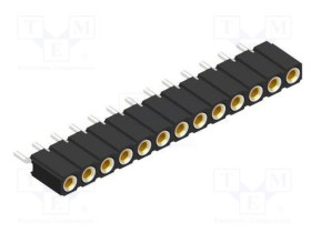 BLY.6SMD13