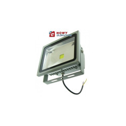 Halogen LED 30W GREY WD dzienny Biały reflektor/naświetlacz