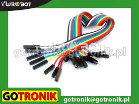 Przewód połączeniowy 10-pin męsko-męski 20cm