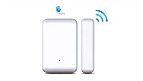 Czujnik Drzwiowy Kontaktron Ttlock- Ds2