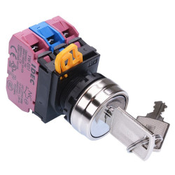 YW4K-2AE12 22mm Metal Bezel 2 Position Maintained Key Switch 1NO-2NC IP65 IDEC
