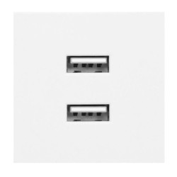 NOEN USB x 2, podwójny port modułowy 45x45mm z ładowarką USB, 2,1A 5V DC, biały OR-GM-9010/W/USBX2