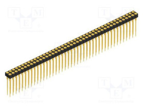 MK.213.X.2.84.G