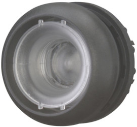 Pushbutton, illuminable, groping, waistband round, front ring black, mounting Ø 22.5 mm, 216935