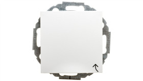 Berker B.1/B.3/B.7 Glas Gniazdo Schuko Z Pokrywą I Przesłonami Styków...