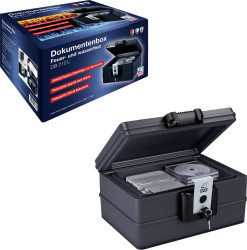 Sejf Basi 2100-0022, (S x W x G) 322 x 214 x 407 mm