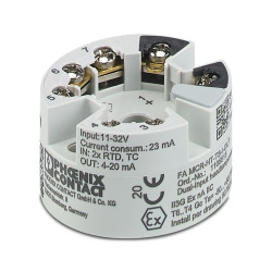 Head-mounted transducer