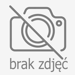 DisplayPort-to-VGA Adapter 1.1, 0.15 m, Black - DisplayPort...