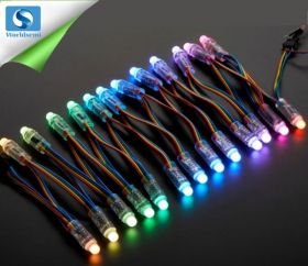 Lampki LED z WS2801 ( 50 sztuk )