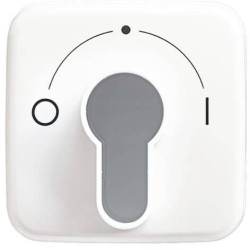 Busch-Jaeger Zaślepka Przełącznik kluczykowy, Przycisk kluczykowy Reflex SI biały, czysty biały (ral 9010) 2CKA001710A14