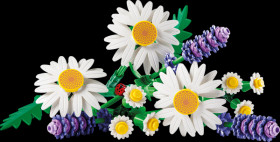 11508 LEGO® Botanicals - Daisies