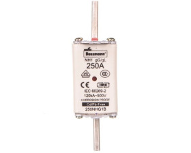 Wkładka bezpiecznikowa NH1 250A gL/gG 500V 250NHG1B
