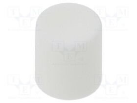 CS11-WHI
