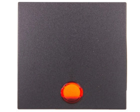 Berker B.1/B.3/B.7 Glas Klawisz pojedynczy do łącznika z 5 dołączonymi soczewkami antracyt 16211606
