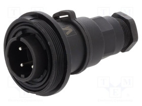 PXV0749/P
