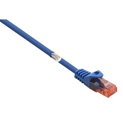 Renkforce RF-5043878 RJ45 Network cable CAT 6 Blue Halogen-free 0.25 m