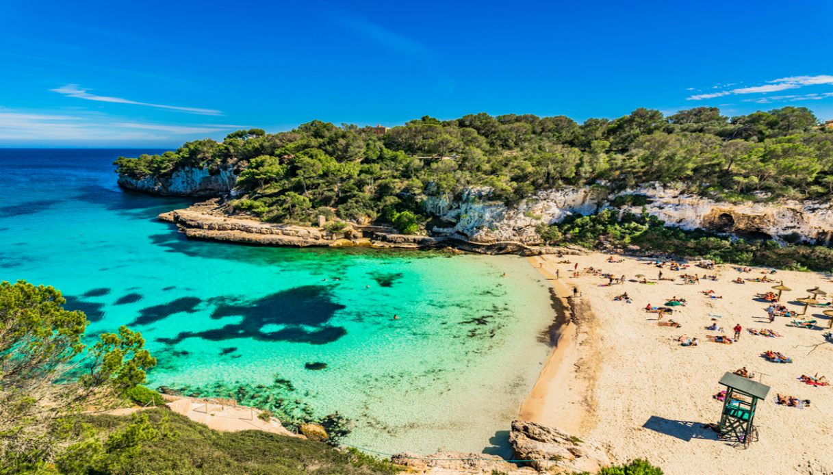 Palma De Mallorca Pertenece A Las Islas Canarias