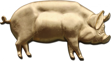 Return to THE PIG home page