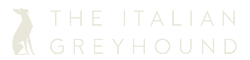 The Italian Greyhound London