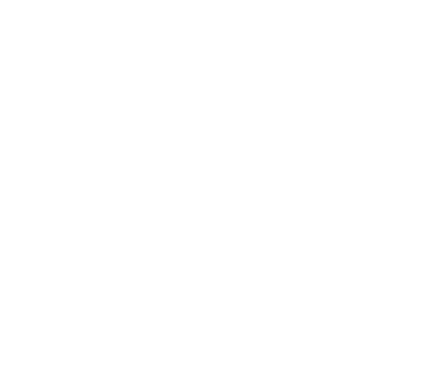 The Black Swan Inn