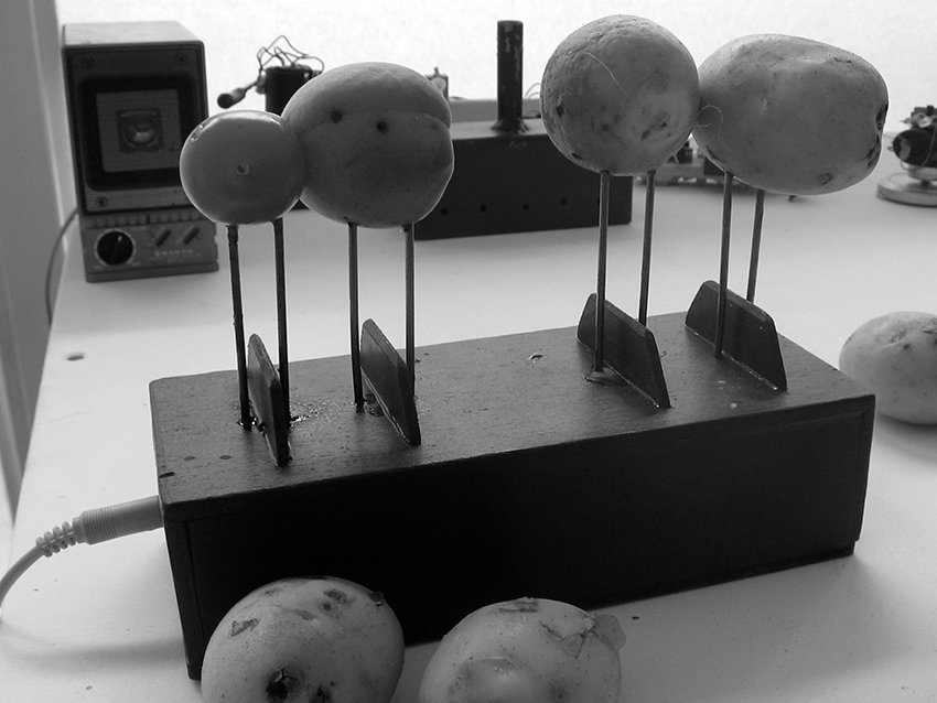 Potatoes Organ. Vegetables and electronics