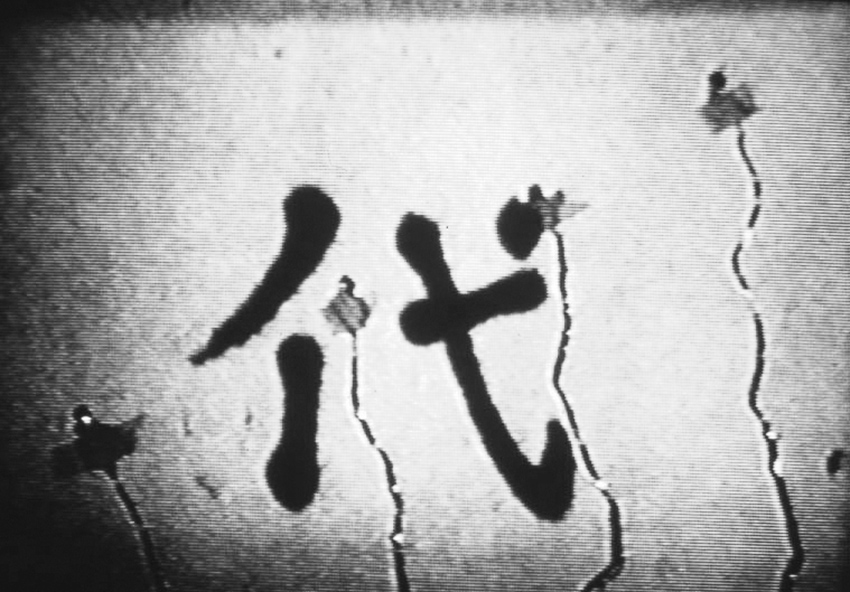 Two stills from Molecular Music, Yasunao Tone