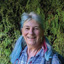 Susan Blackmore - Profile picture