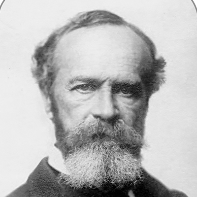 William James - Profile picture