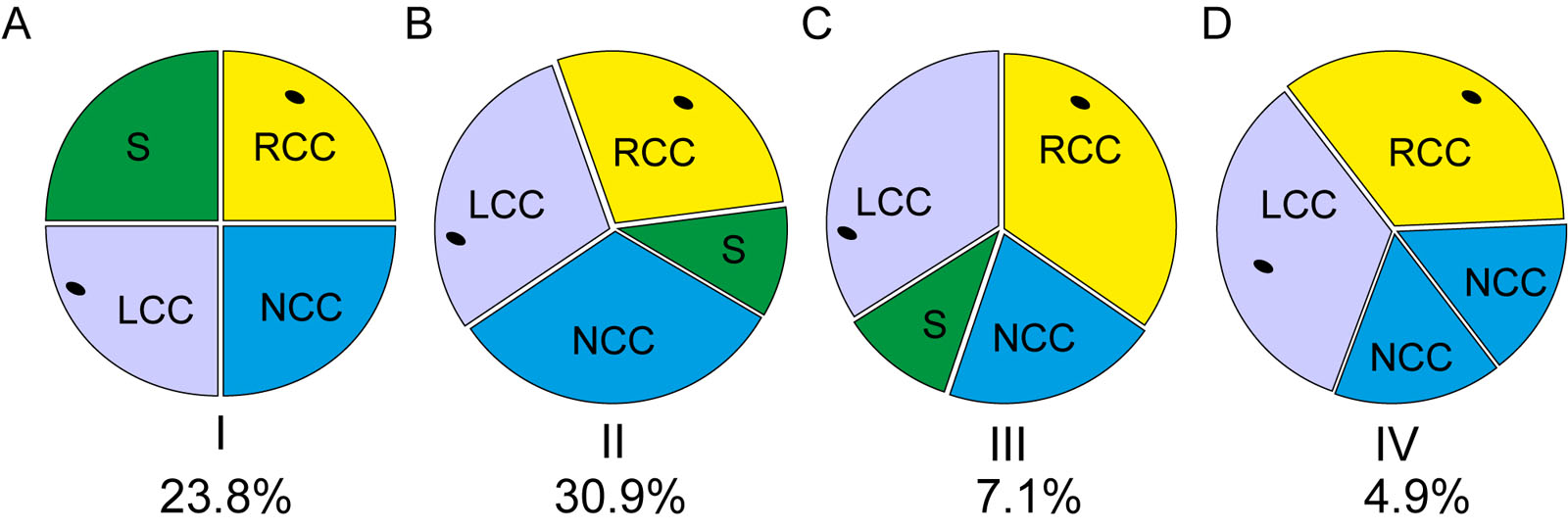 Quadricuspid AoV classification. There are different anatomic classifications that describe the quadricuspid AoV<sup>54</sup> including the simplified classification by Nakamura.<em> Abbreviations</em>: AoV, aortic valve; LCC, left coronary cusp; NCC, non-coronary cusp; RCC, right coronary cusp; S, supernumerary cusp. Adapted from Nakamura et al.<strong><sup>31</sup></strong>