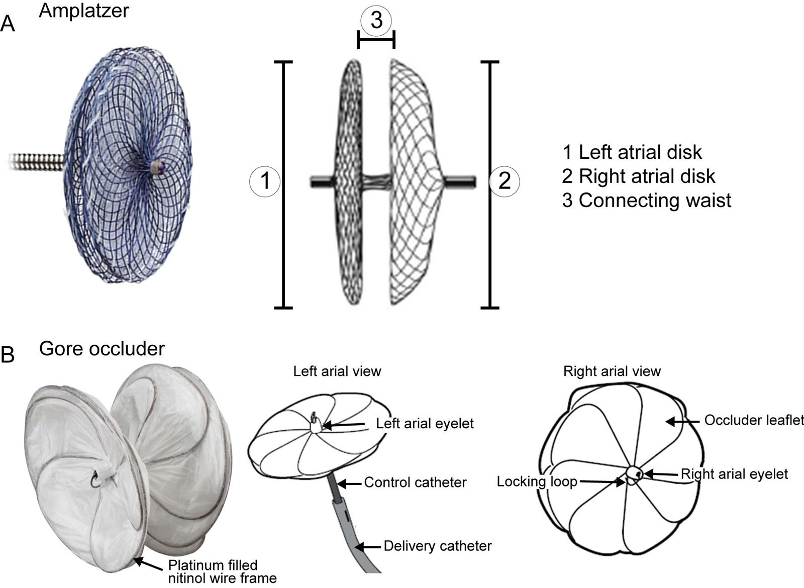 Percutaneous closure devices. These are examples of commercially available percutaneous closure devices, including the (A) Amplatzer™ Cribriform Multi-Fenestrated Septal Occluder (Abbott). (B) Gore Cardioform ASD occluder delivery system. Source: Photo courtesy of Abbott https://www.cardiovascular.abbott/us/en/hcp/products/structural-heart/structural-interventions.html and W.L. Gore & Associates, Inc. https://www.goremedical.com/products/cardioform/septal-occluder <i class='fa fa-video-camera' aria-hidden='true'></i>