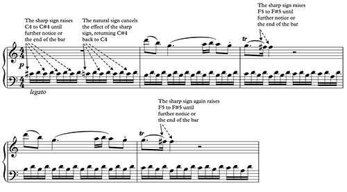 Figure 1.15