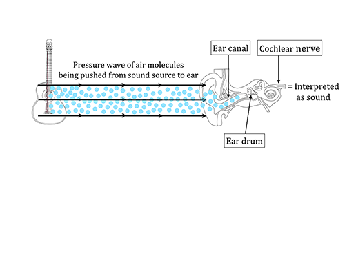 Figure 5.1