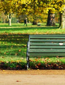 Image of a park