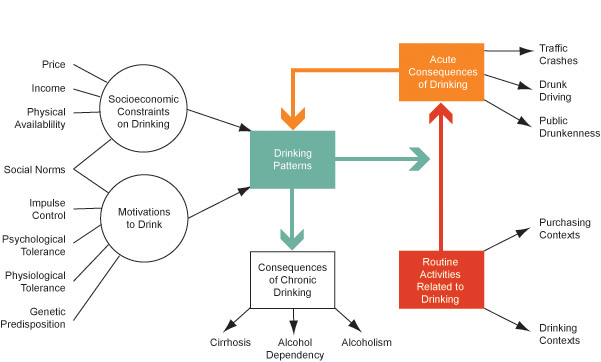 Alcoholism Cycle