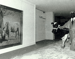 Performance-Der-Untermensch