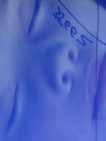 Gottfried-Helnwein-and-the-Dreaming-Child