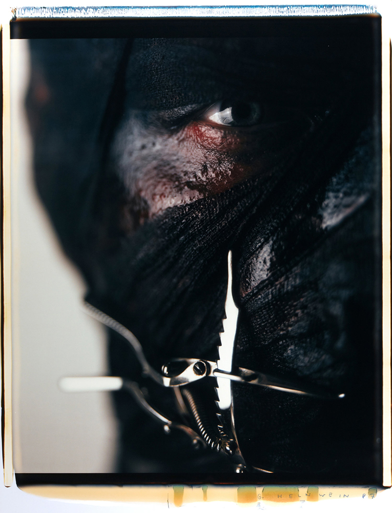 Gottfried Helnwein Artist News Update The Polaroid Project
