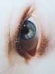 THE-EFFECT-OF-EXPRESSION-IN-HYPERREALISM
