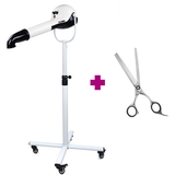 PROMO - Secador Ibáñez Dry Master - B40590