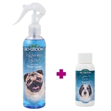 PROMO - Champú en seco de Biogroom - A02100