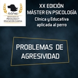 XX Edición MÁSTER en PSICOLOGÍA - CURSO PROBLEMAS DE AGRESIVIDAD