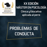 XX Edición MÁSTER en PSICOLOGÍA - CURSO PROBLEMAS DE CONDUCTA