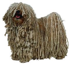 KOMONDOR Y PULI