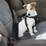 Arnés de Seguridad para el Coche