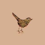 Connect with us on Twitter