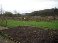 view of the rest of the walled garden from our corner