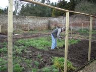 Charlie preparing a bed for planting